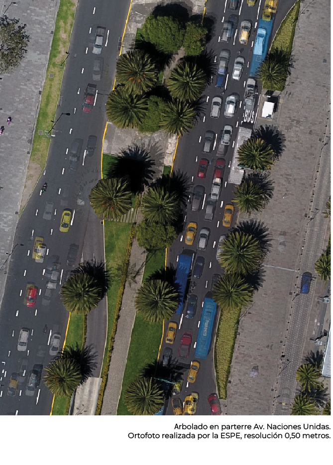 Plan Árbol Plan Árbol